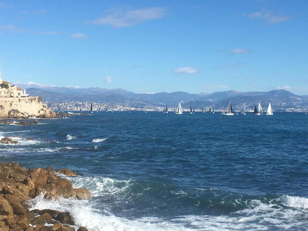 Tortue De Mer Antibes Zewnętrze zdjęcie