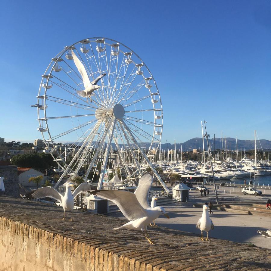 Tortue De Mer Antibes Zewnętrze zdjęcie